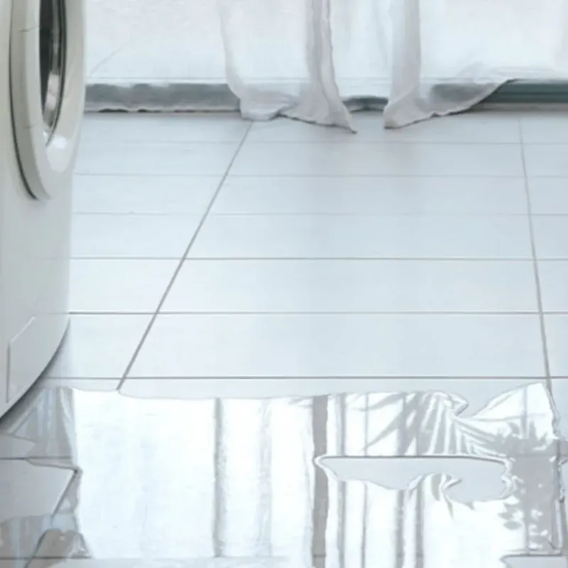 Appliance Leak Cleanup in Las Palmas II, TX