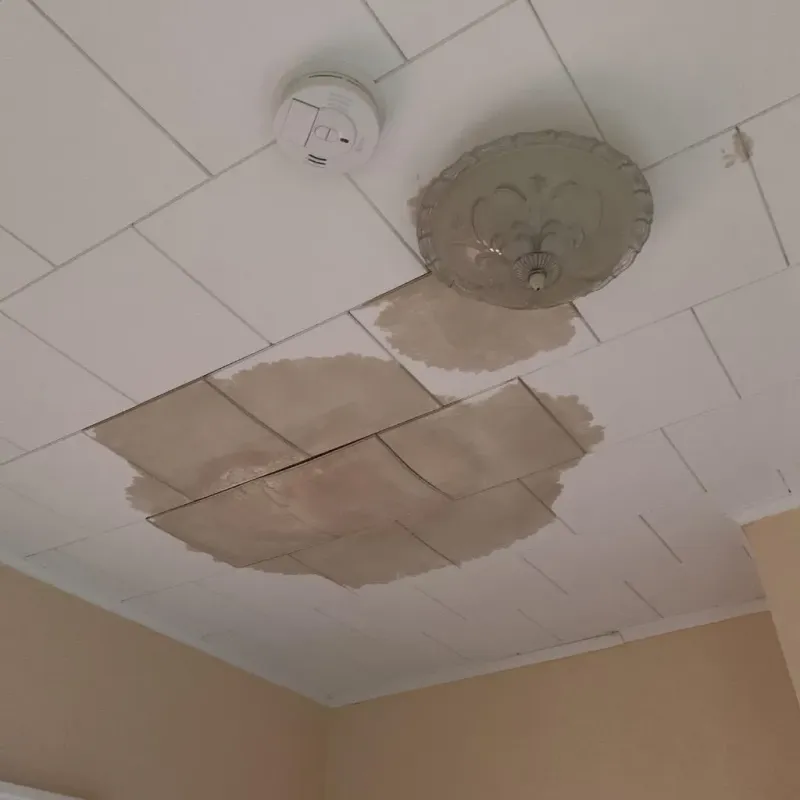 Ceiling Water Damage Repair in Las Palmas II, TX