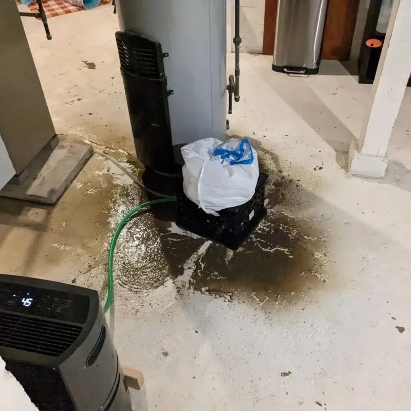 Sewage Backup Cleanup Service in Las Palmas II, TX